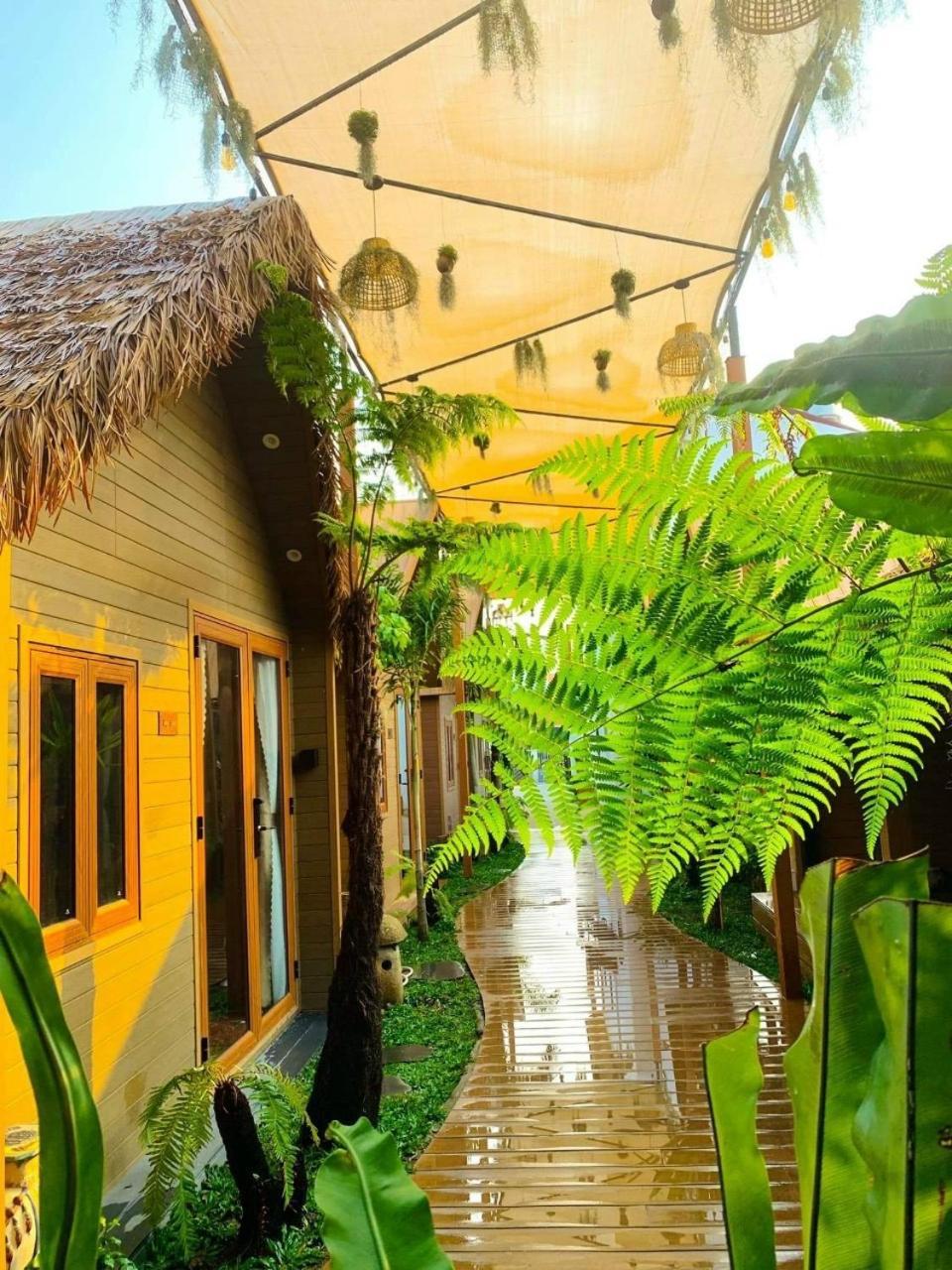 La Garden Homestay Long Xuyên Eksteriør billede