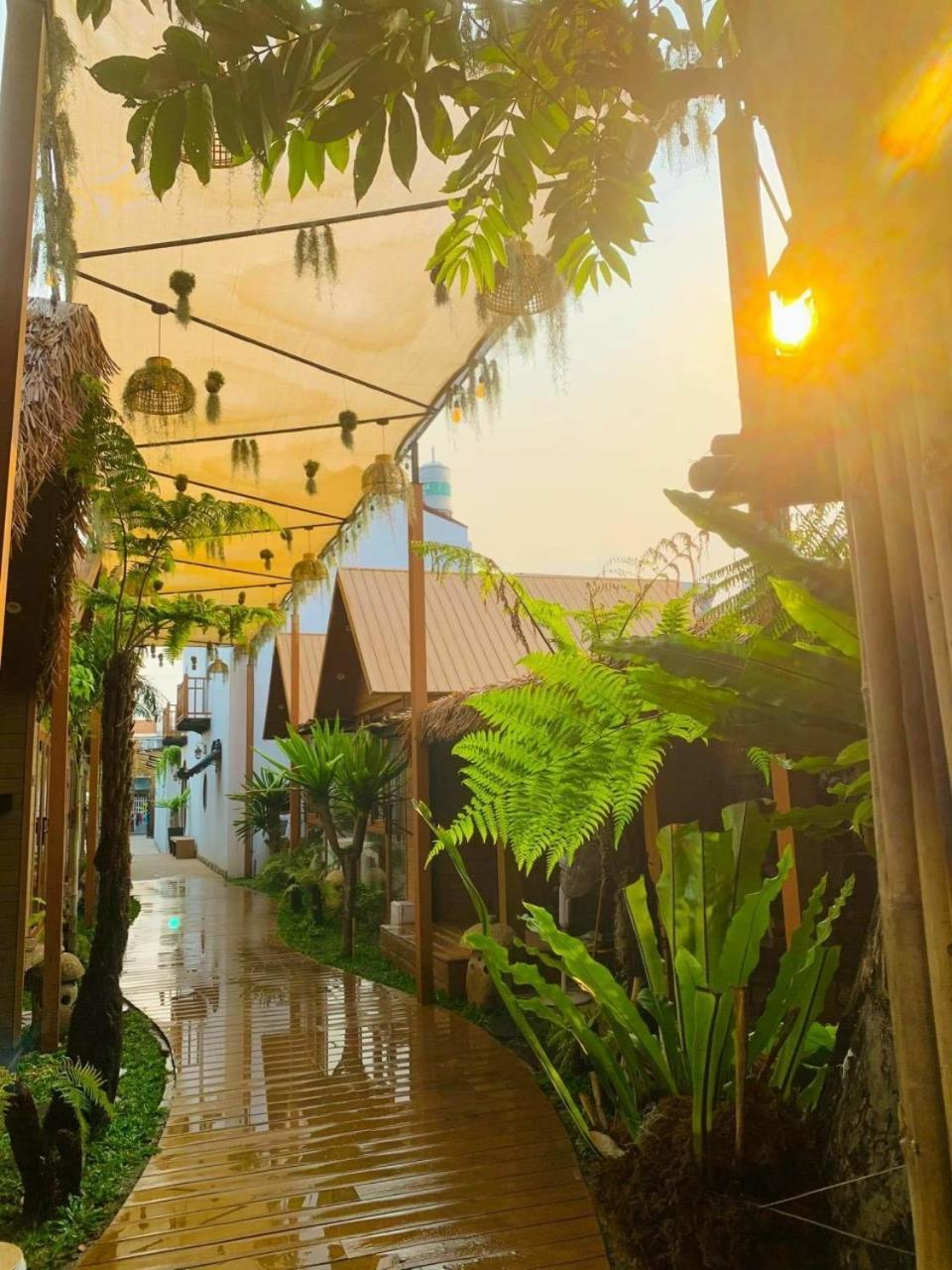 La Garden Homestay Long Xuyên Eksteriør billede