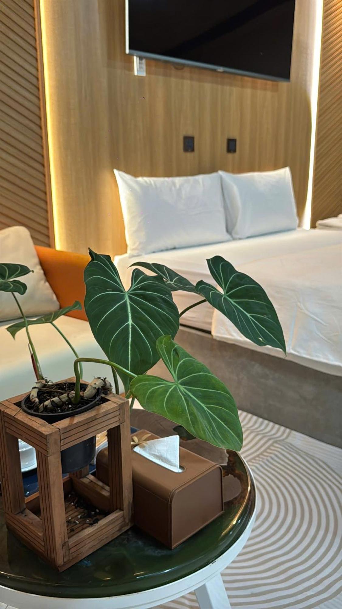 La Garden Homestay Long Xuyên Eksteriør billede