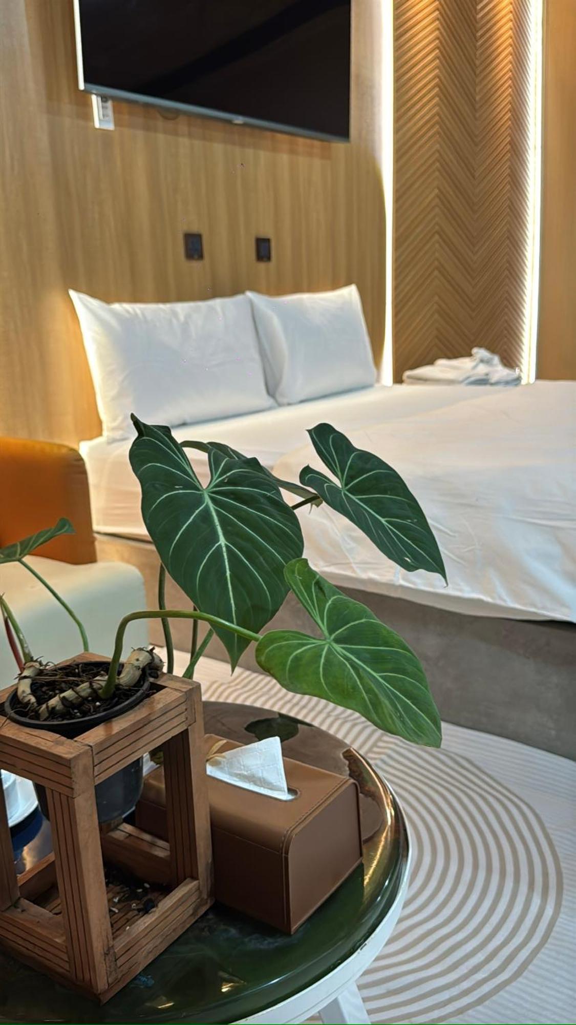 La Garden Homestay Long Xuyên Eksteriør billede